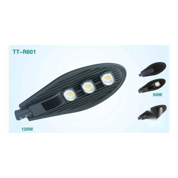 Đèn đường LED COB TT-R601 / R501 / R401