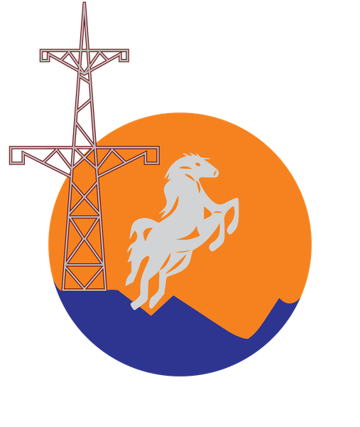 Logo footer